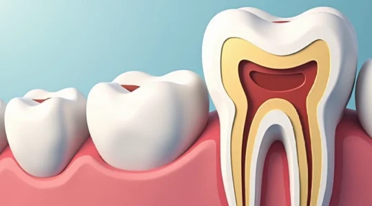 why-teeth-make-a-clicking-sound-when-pushed